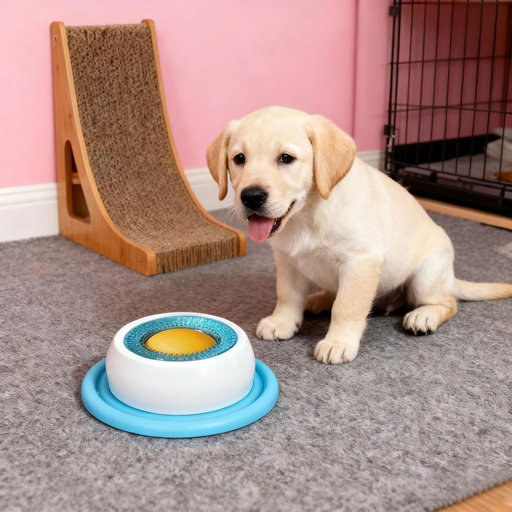 Playtime Lick Feeder