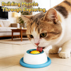 Playtime Lick Feeder